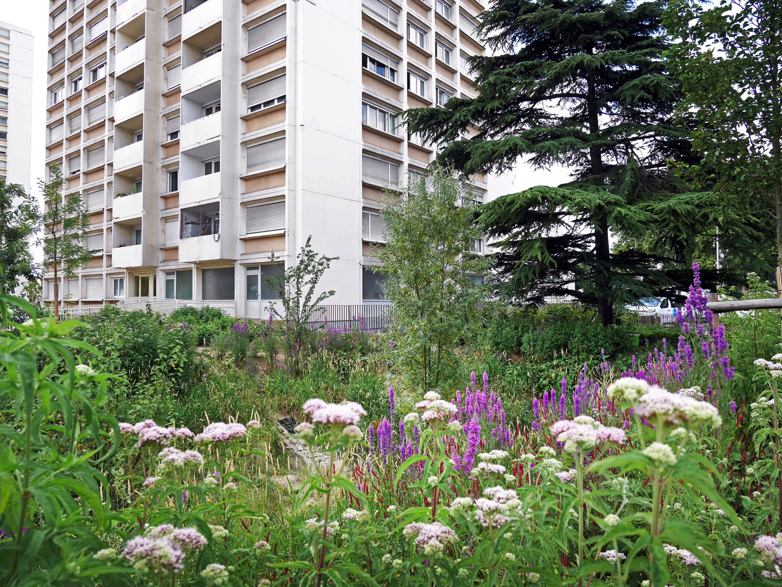 2-COLOMBES_Quartiers ©AJOA (10)-5fd1f4a275d75.jpeg